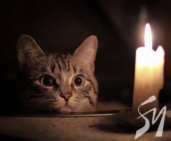 �� ����������� ������ ��������� ������, �� ����� ���� ����� ����